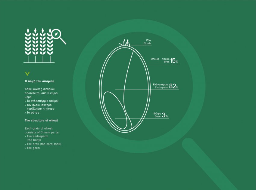 Δημητριακά